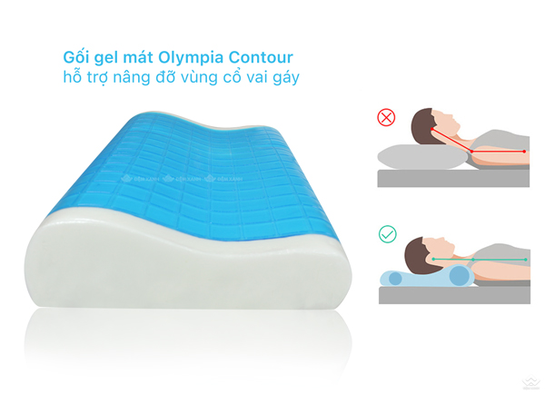 gối gel olympia