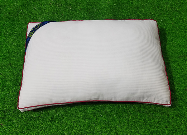 Ruột gối Olympia 2 viền