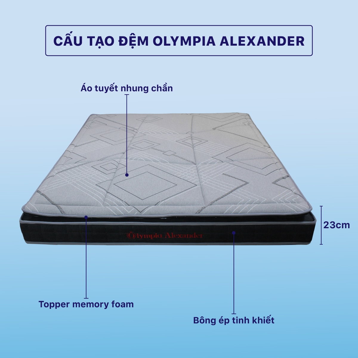 Đệm bông ép Olympia Alexander