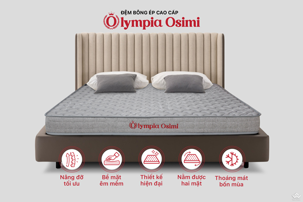 Đệm bông ép Olympia Osimi