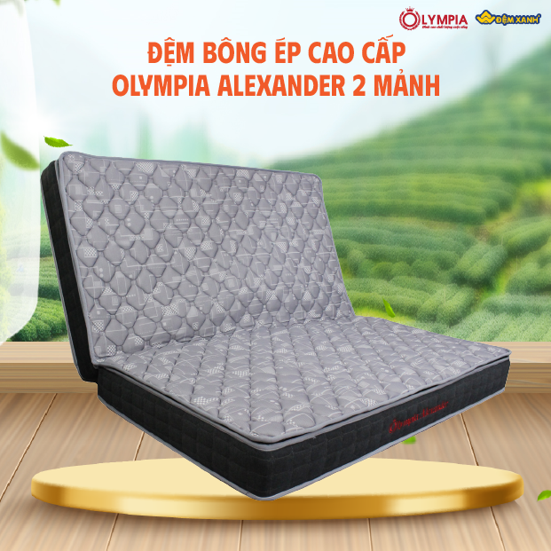 đệm bông ép Olympia