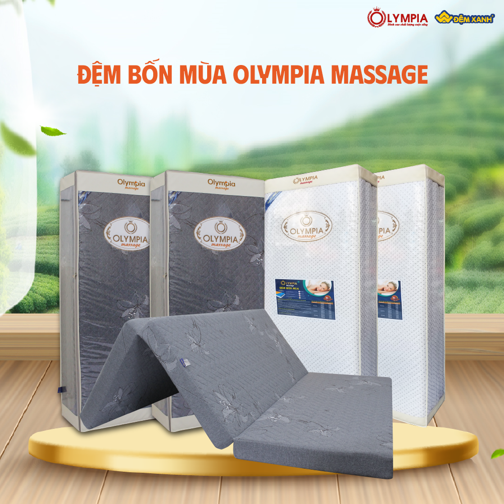 đệm bông ép Olympia