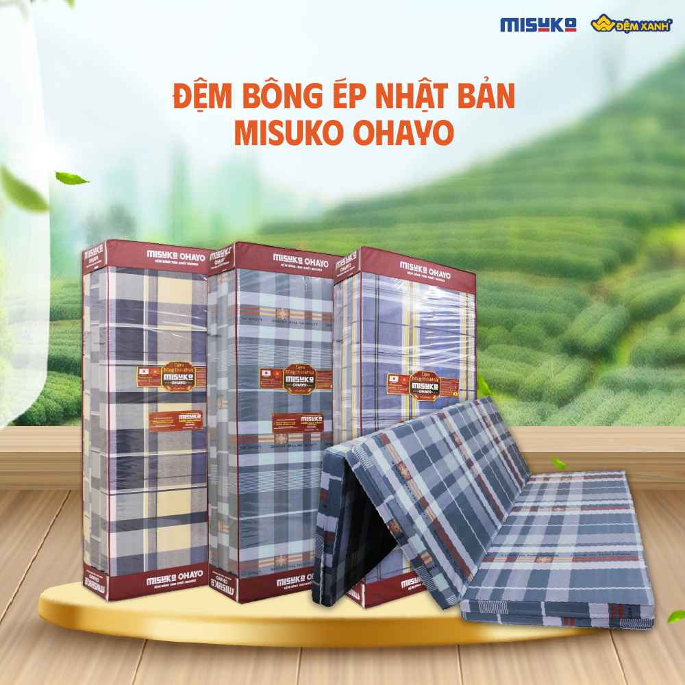 đệm bông ép Misuko