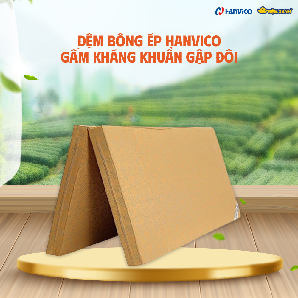 thương hiệu đệm bông ép