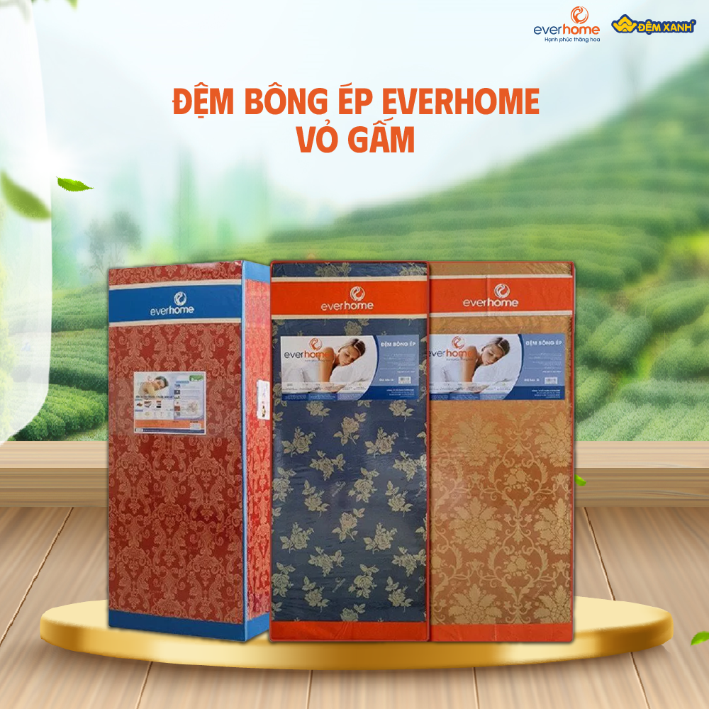 thương hiệu đệm bông ép