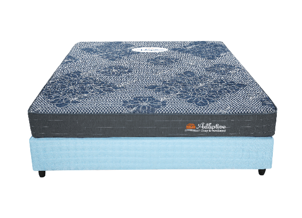 thương hiệu đệm foam