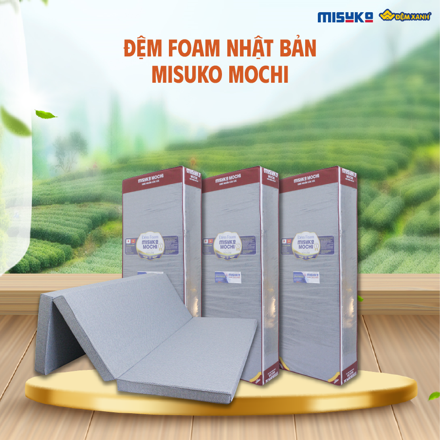 thương hiệu đệm foam