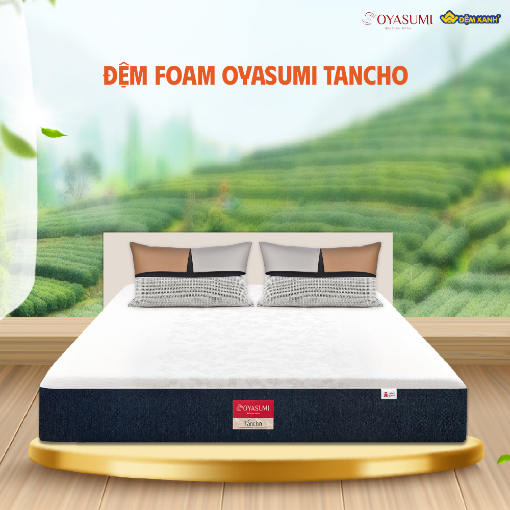 thương hiệu đệm foam