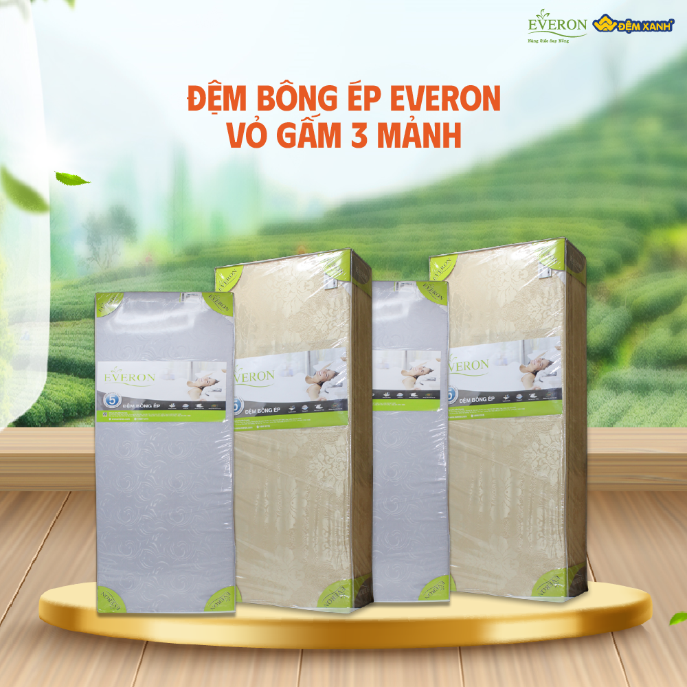 chọn đệm bông ép Everon
