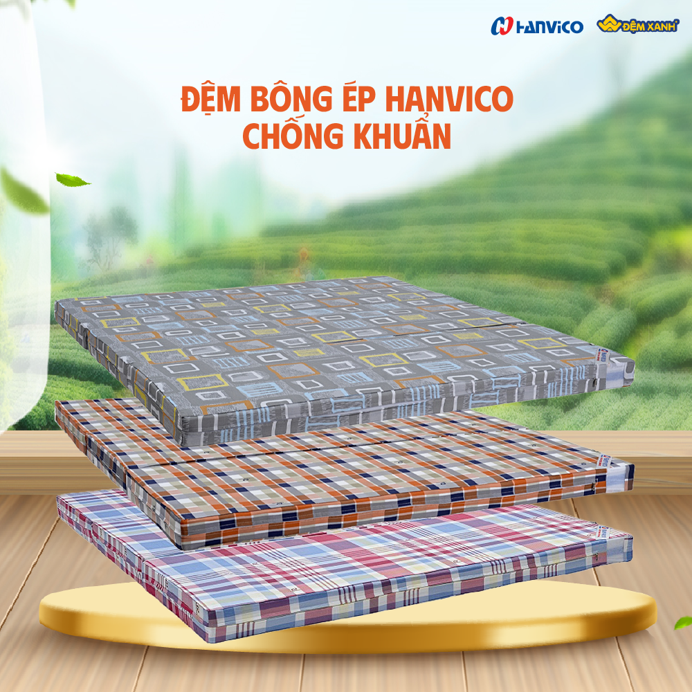chọn đệm bông ép Hanvico
