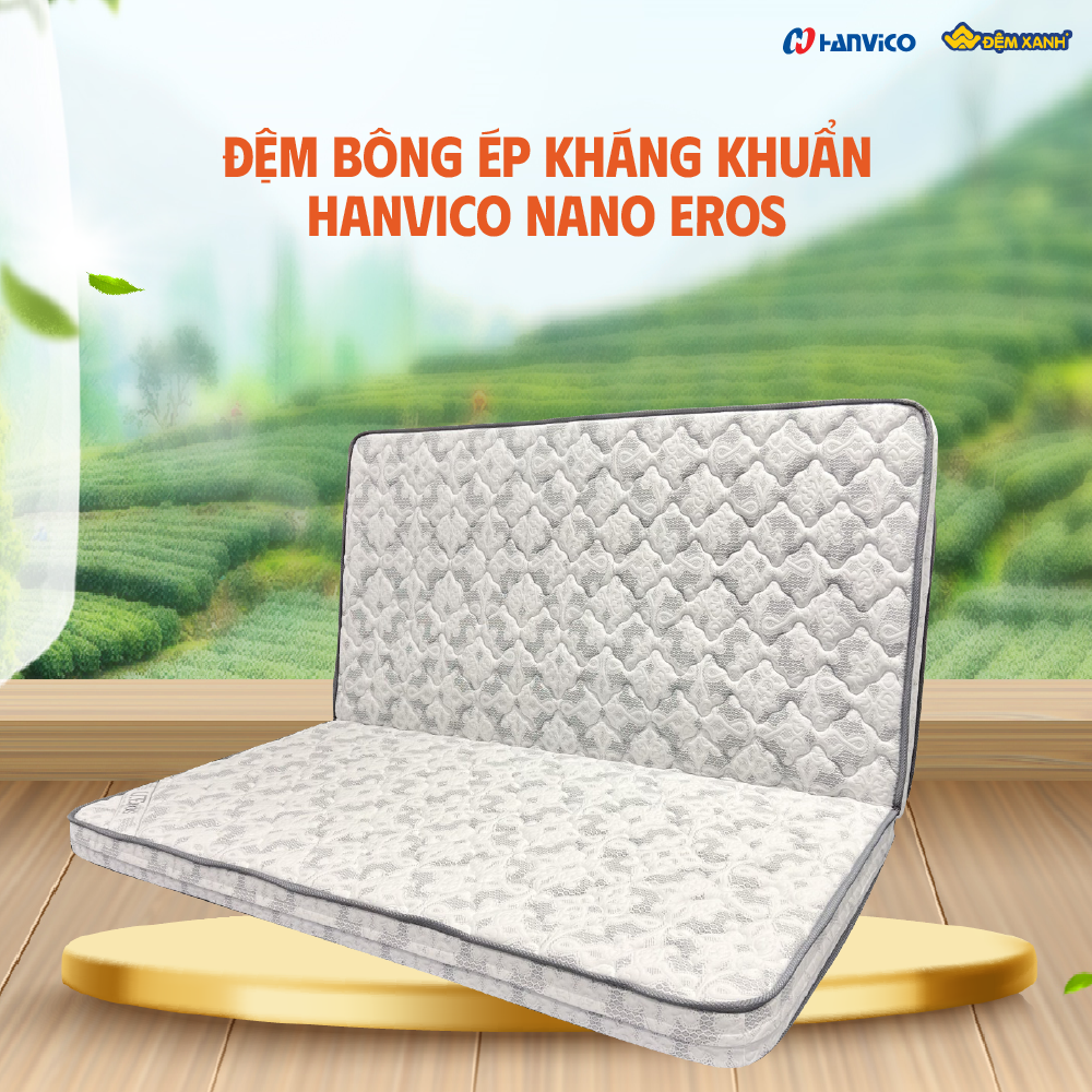 chọn đệm bông ép Hanvico