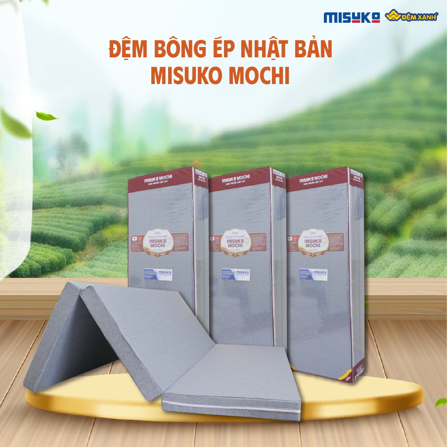 chọn đệm bông ép Misuko