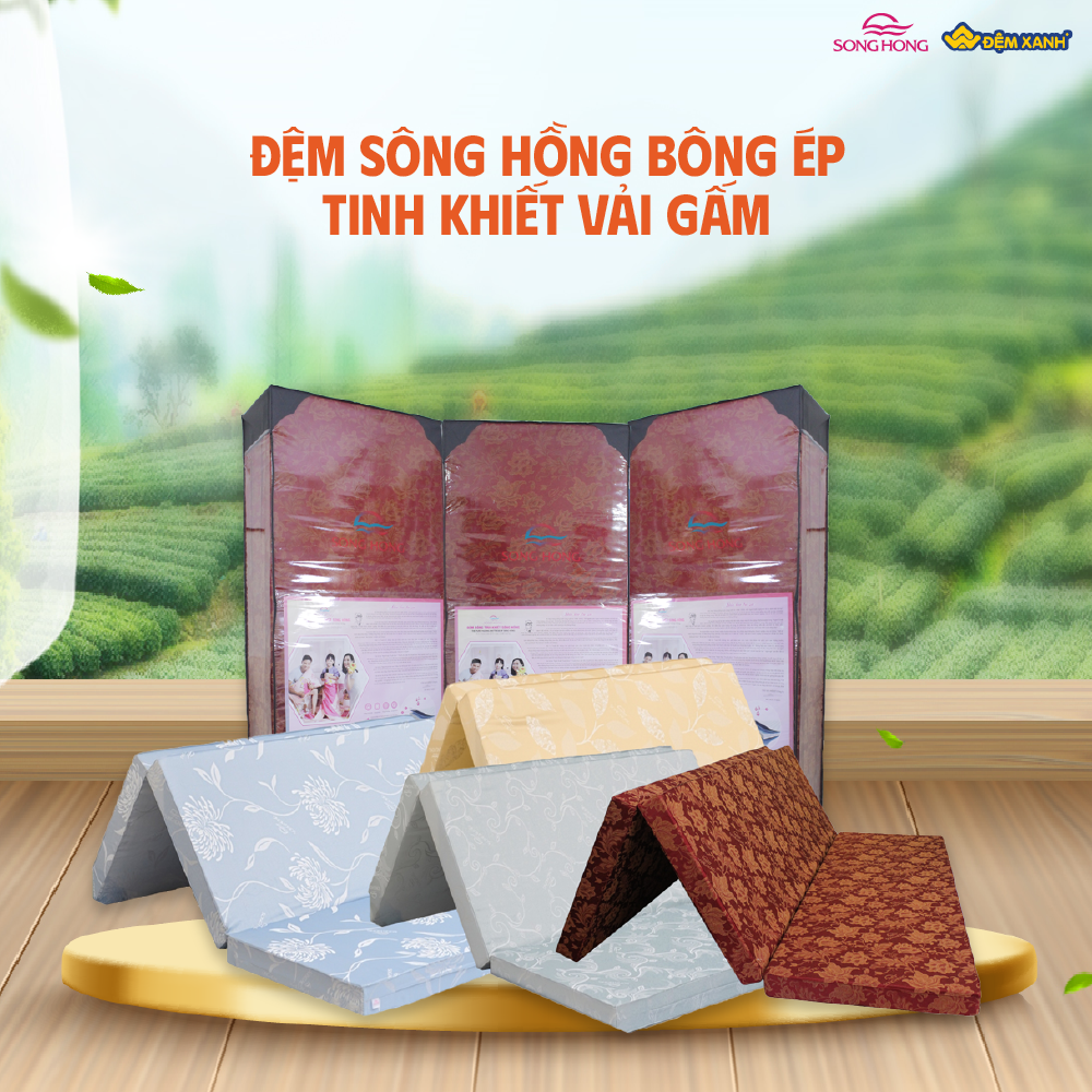 chọn đệm bông ép Sông Hồng