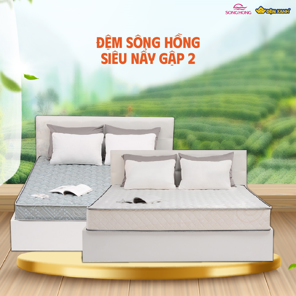chọn đệm bông ép Sông Hồng