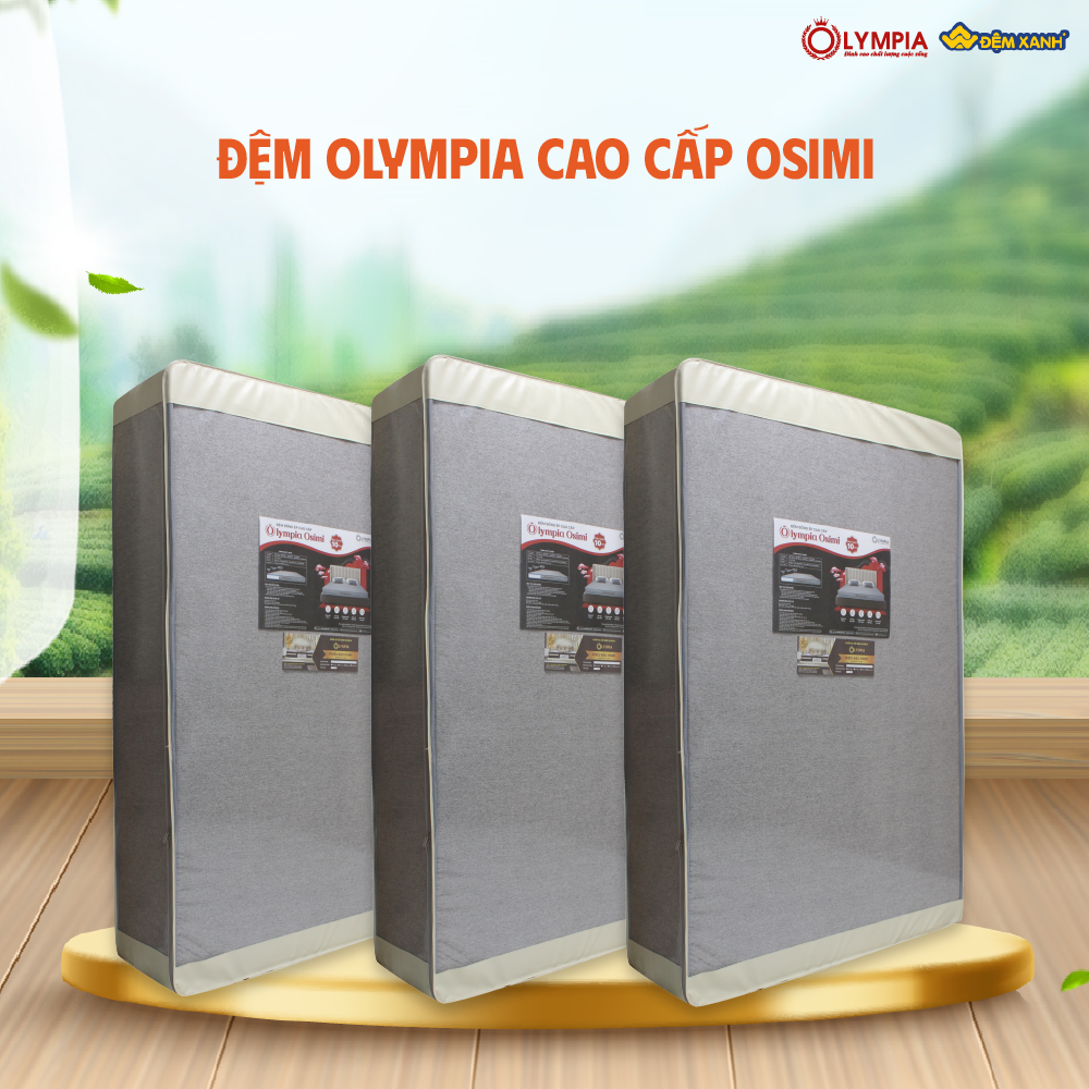đệm foam Olympia