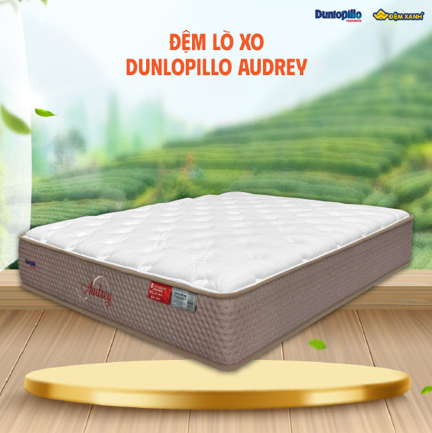 chọn đệm lò xo Dunlopillo