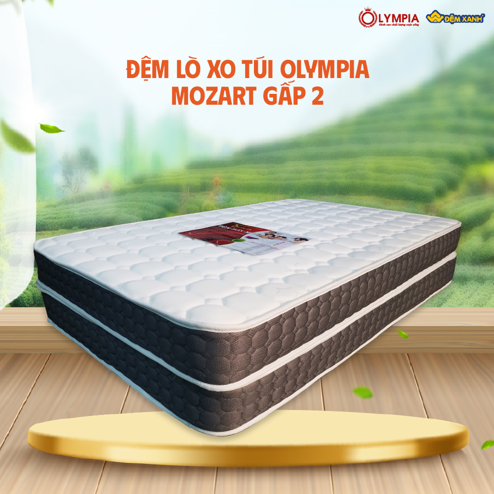 chọn đệm lò xo Olympia
