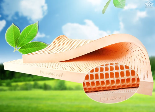 đệm cao su Đồng Phú