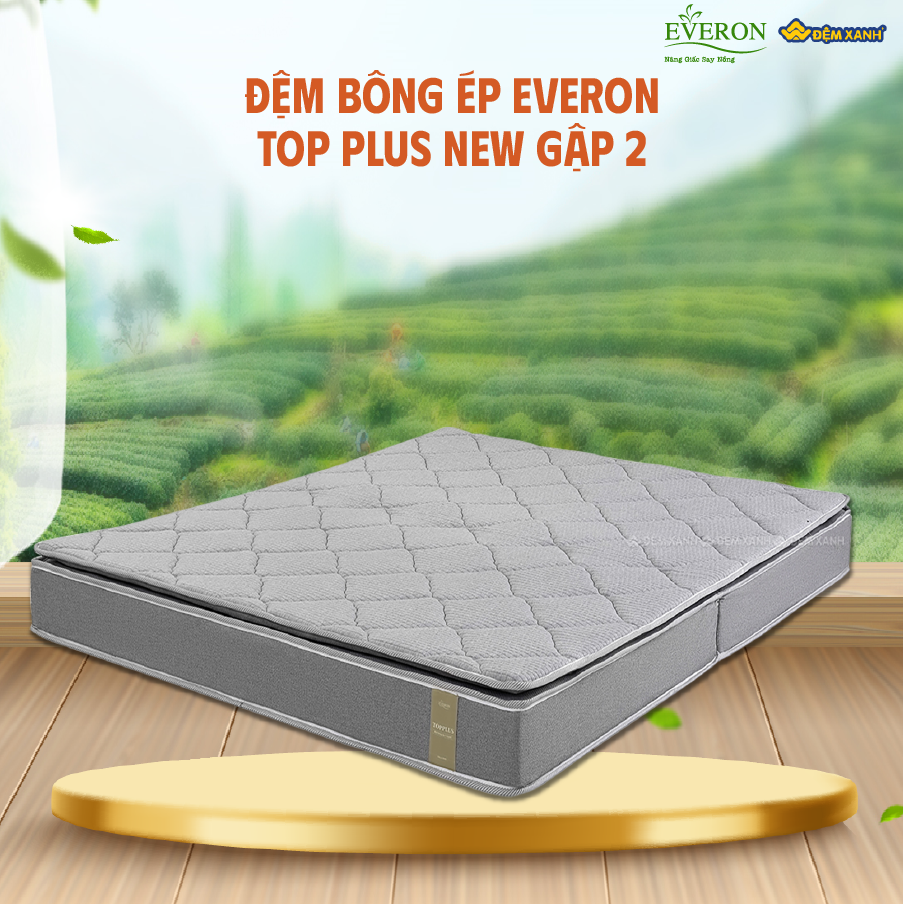 Đệm bông ép 2mx2m2