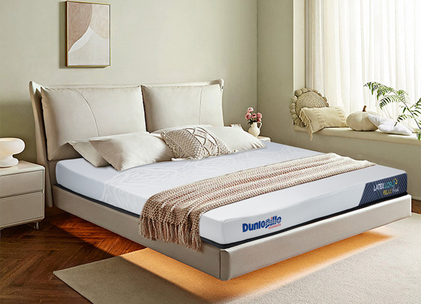 Đệm cao su 1m6x2m giá bao nhiêu?