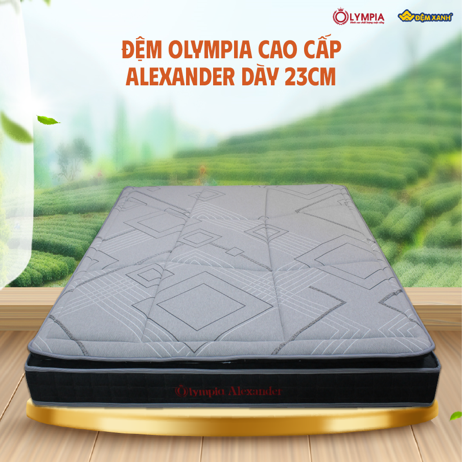 Đệm bông ép 1m6 giá bao nhiêu