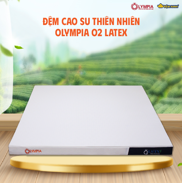 đệm cao su 1m
