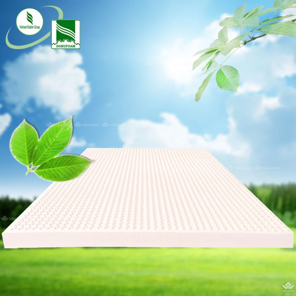 chọn đệm cao su Olympia hay đệm cao su Đồng Phú