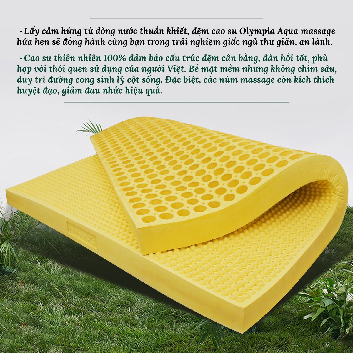 chọn đệm cao su Olympia hay đệm cao su Kim Cương