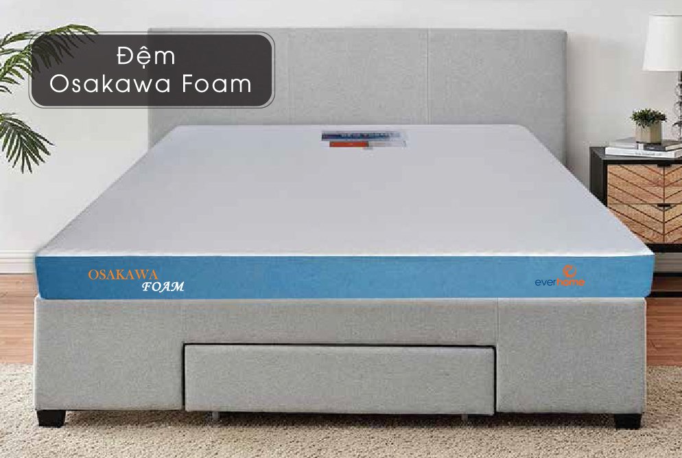 chọn đệm foam Olympia hay đệm foam Everhome