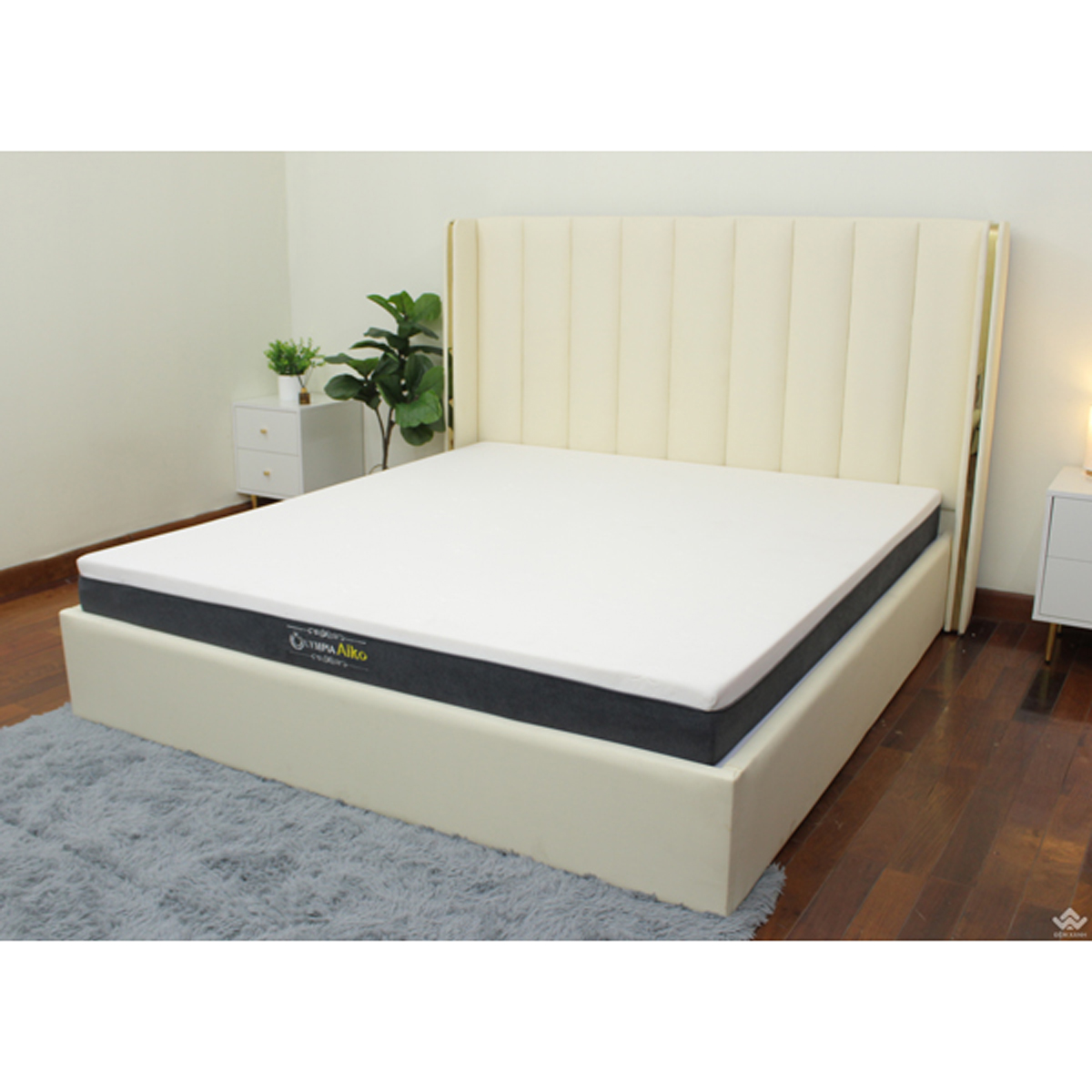 chọn đệm foam Olympia hay foam Hanvico