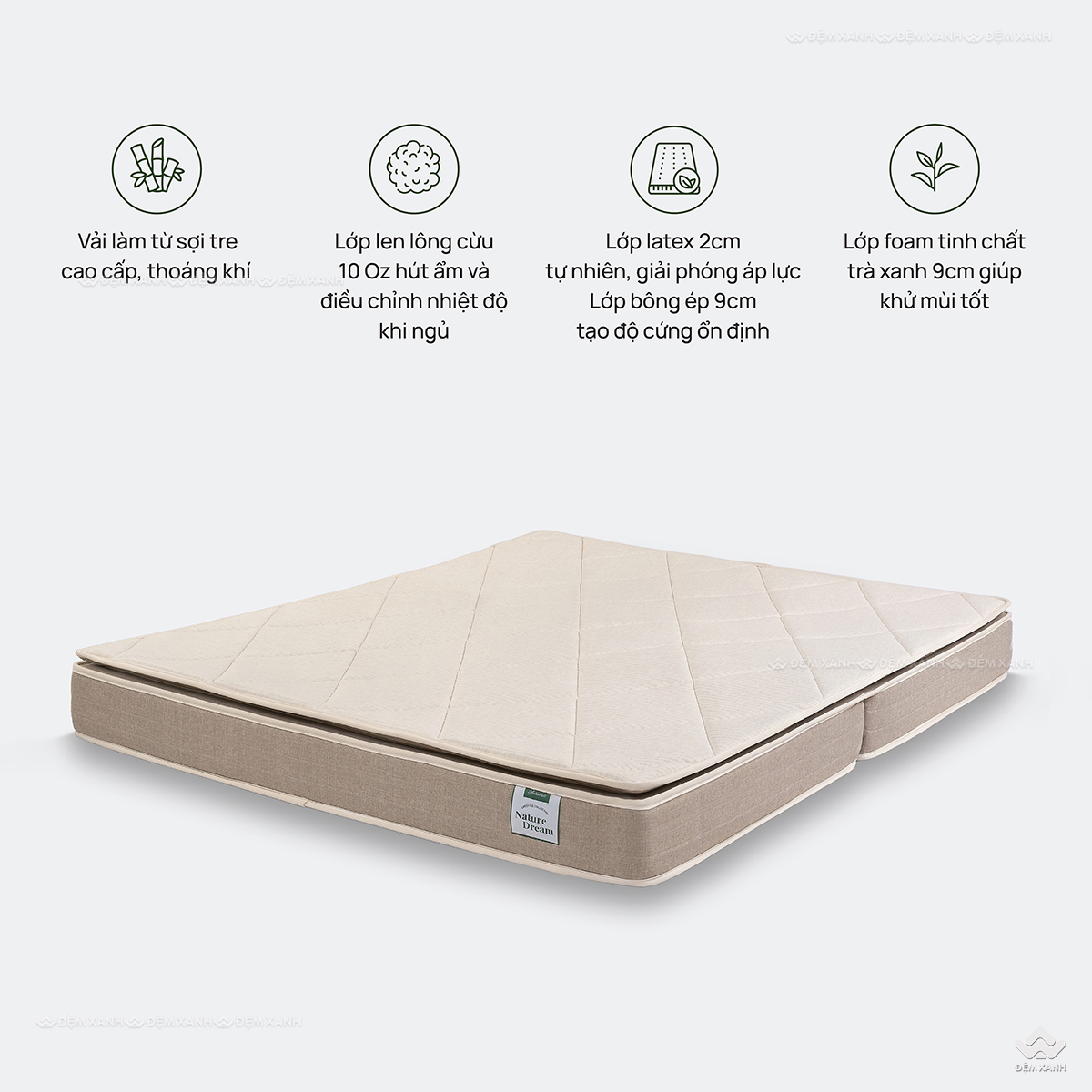 chọn đệm foam Olympia hay đệm foam Everon