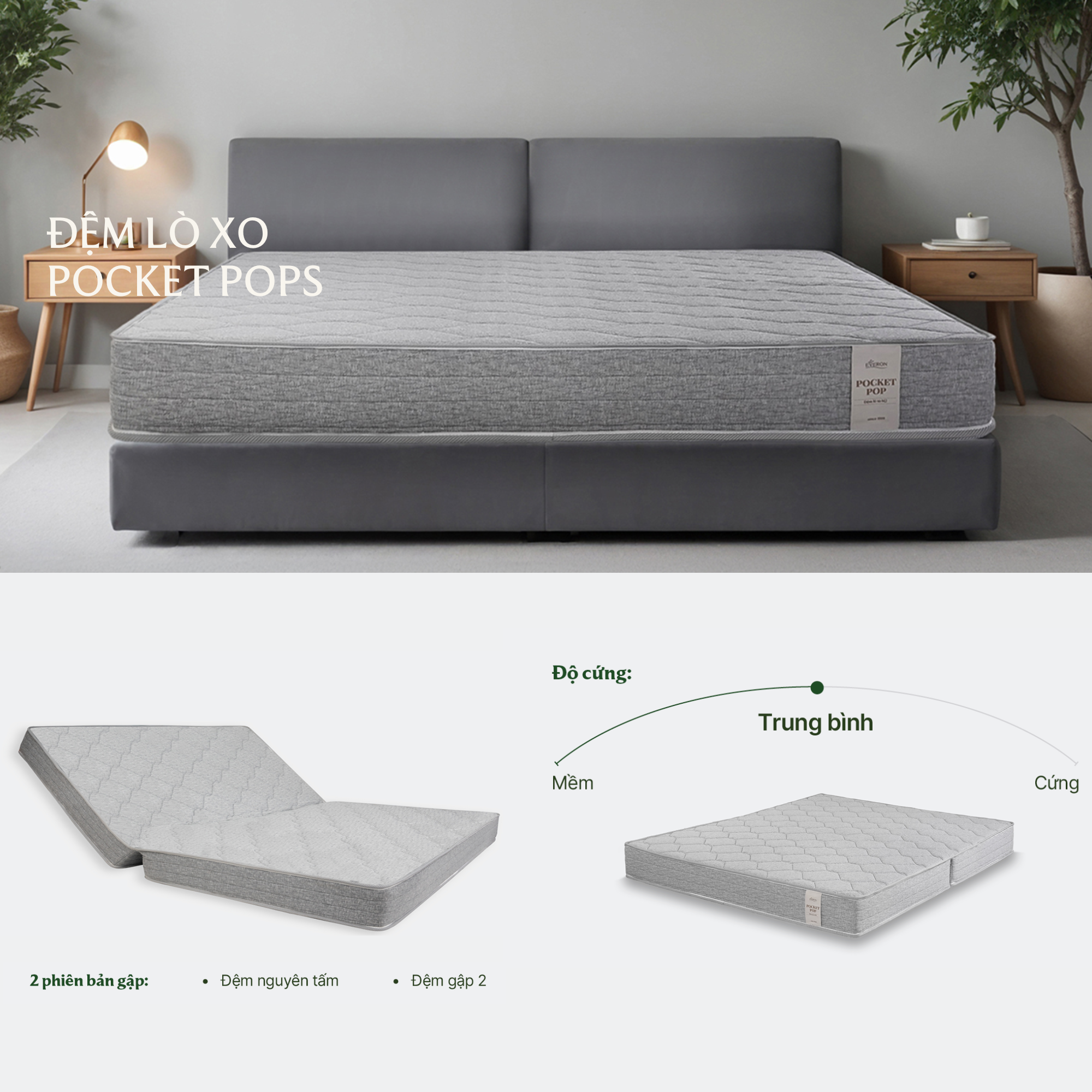 chọn đệm lò xo Olympia hay lò xo Everon