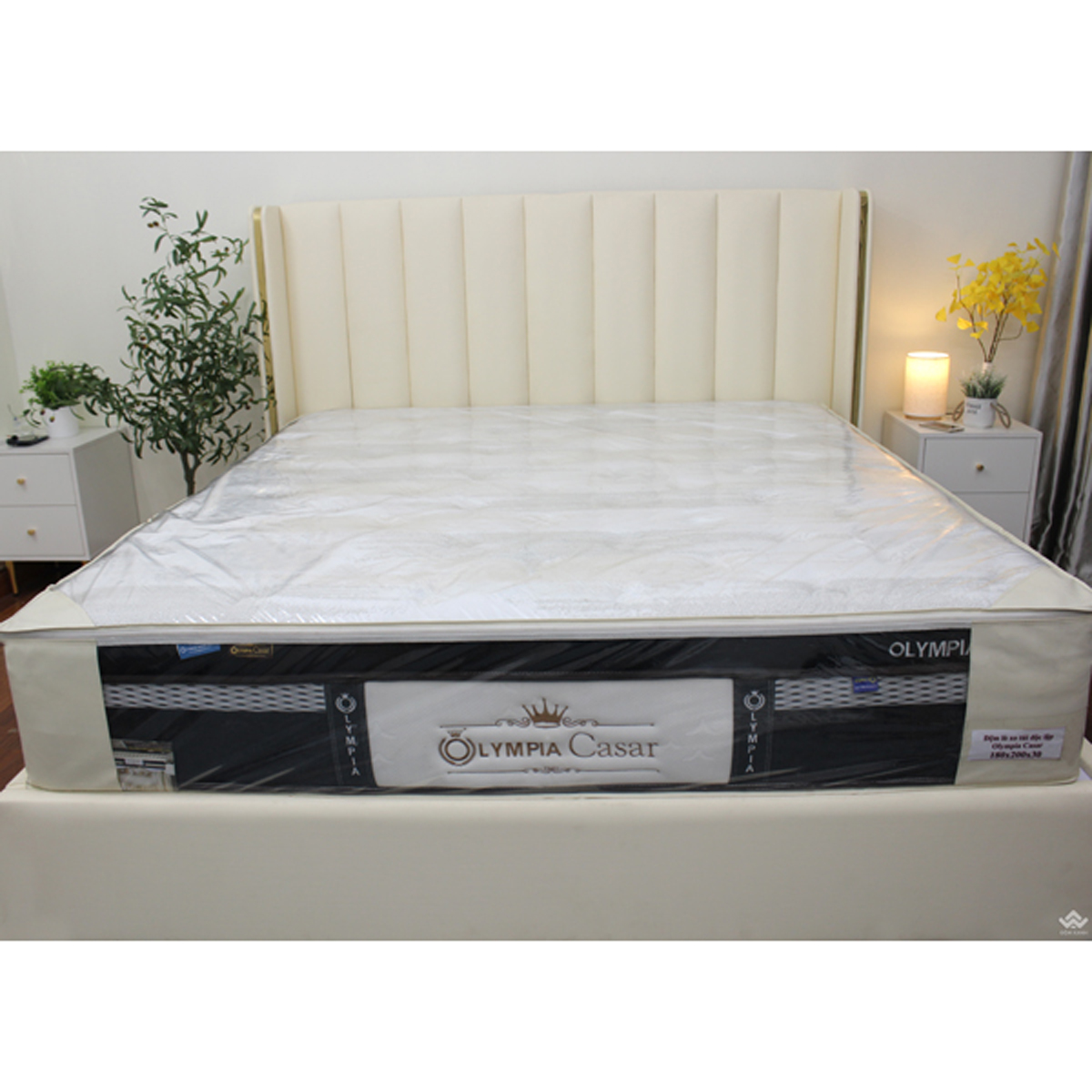 chọn đệm lò xo Olympia hay lò xo Kingkoil