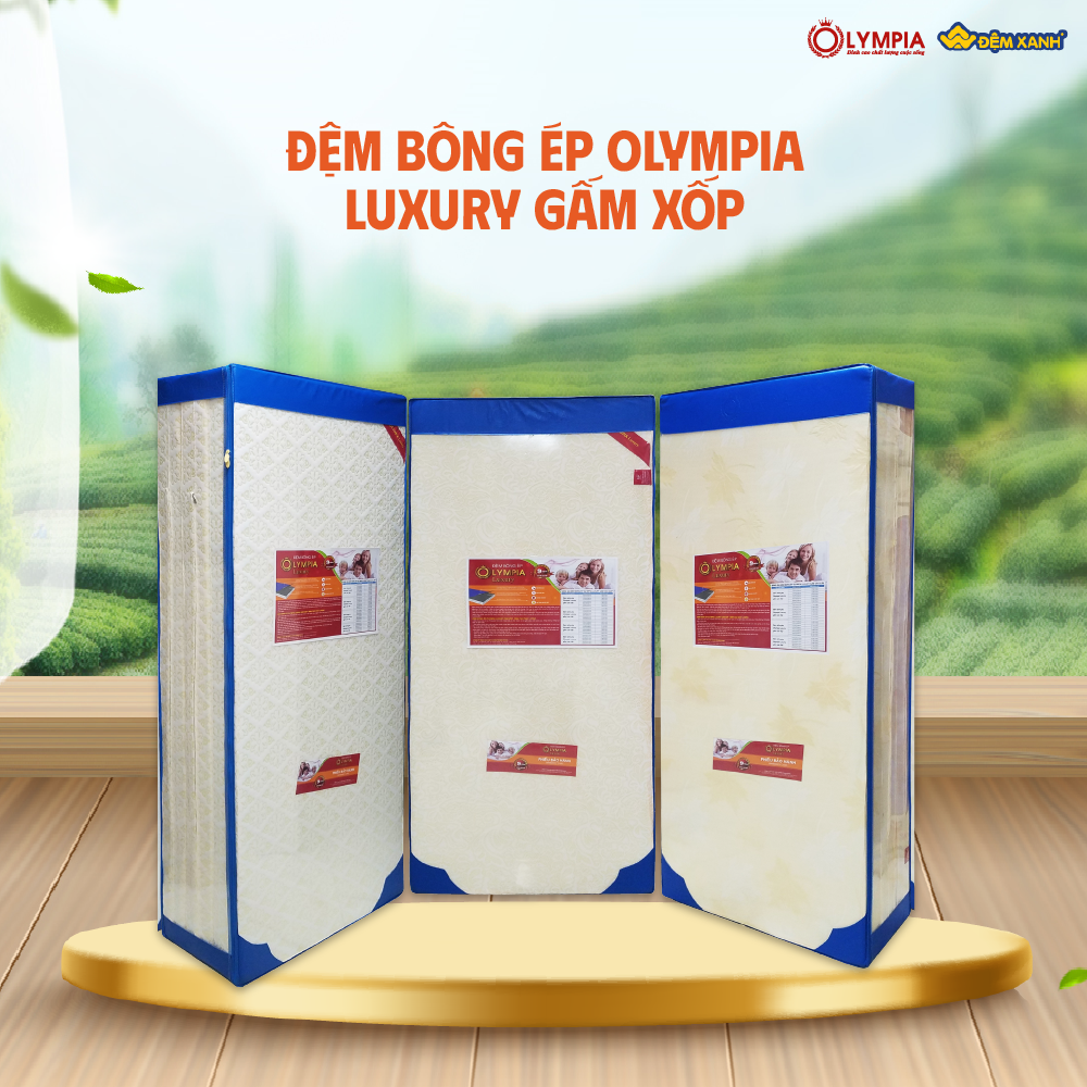 chọn đệm bông ép Olympia hay đệm bông ép Thanh Bình