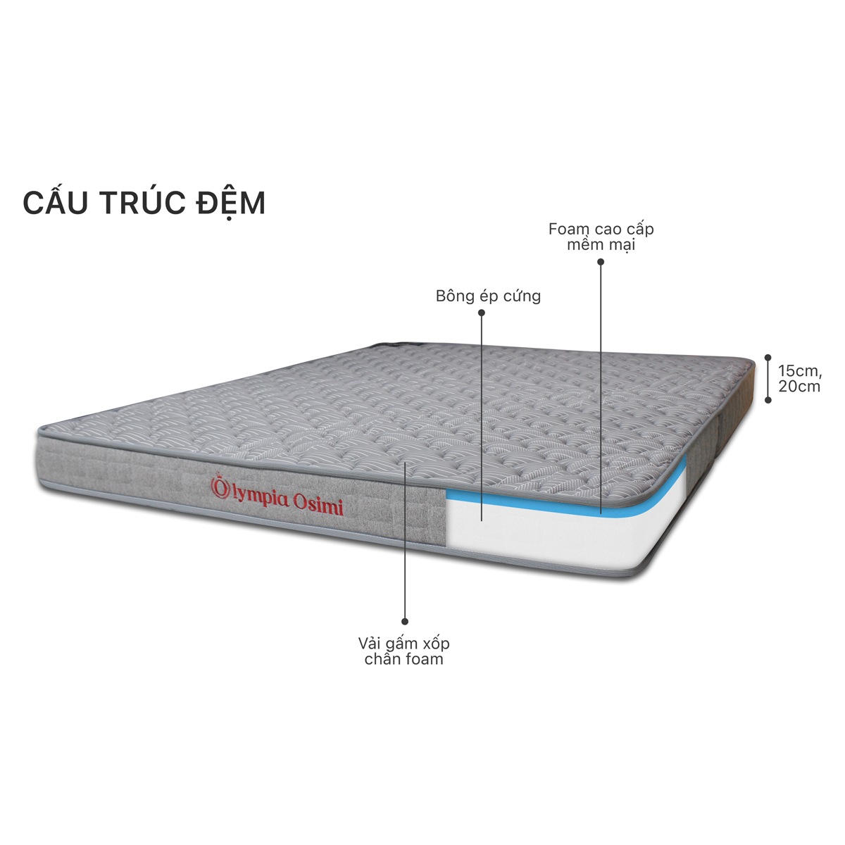 đệm bông ép Olympia hay đệm bông ép Elan
