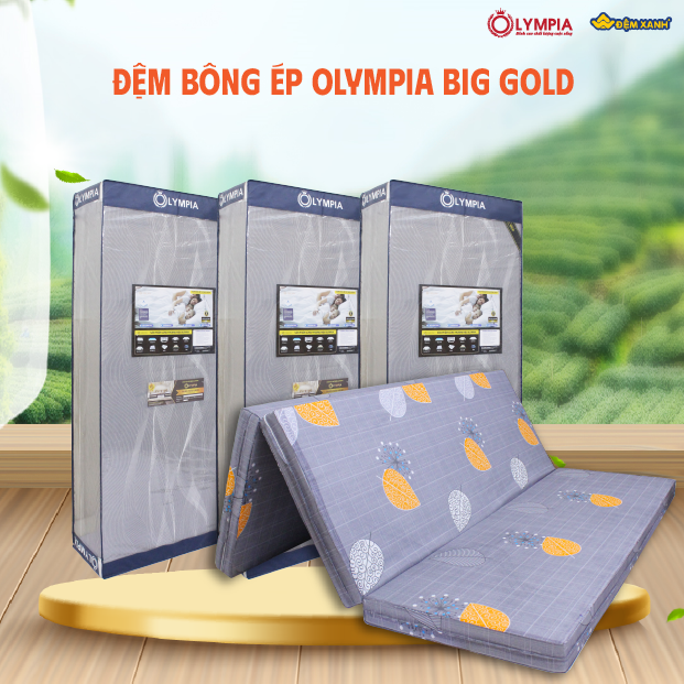 đệm bông ép Olympia hay đệm bông ép Elan