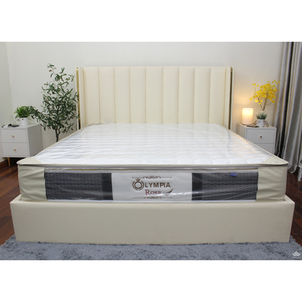 chọn đệm lò xo Olympia hay lò xo Liên Á