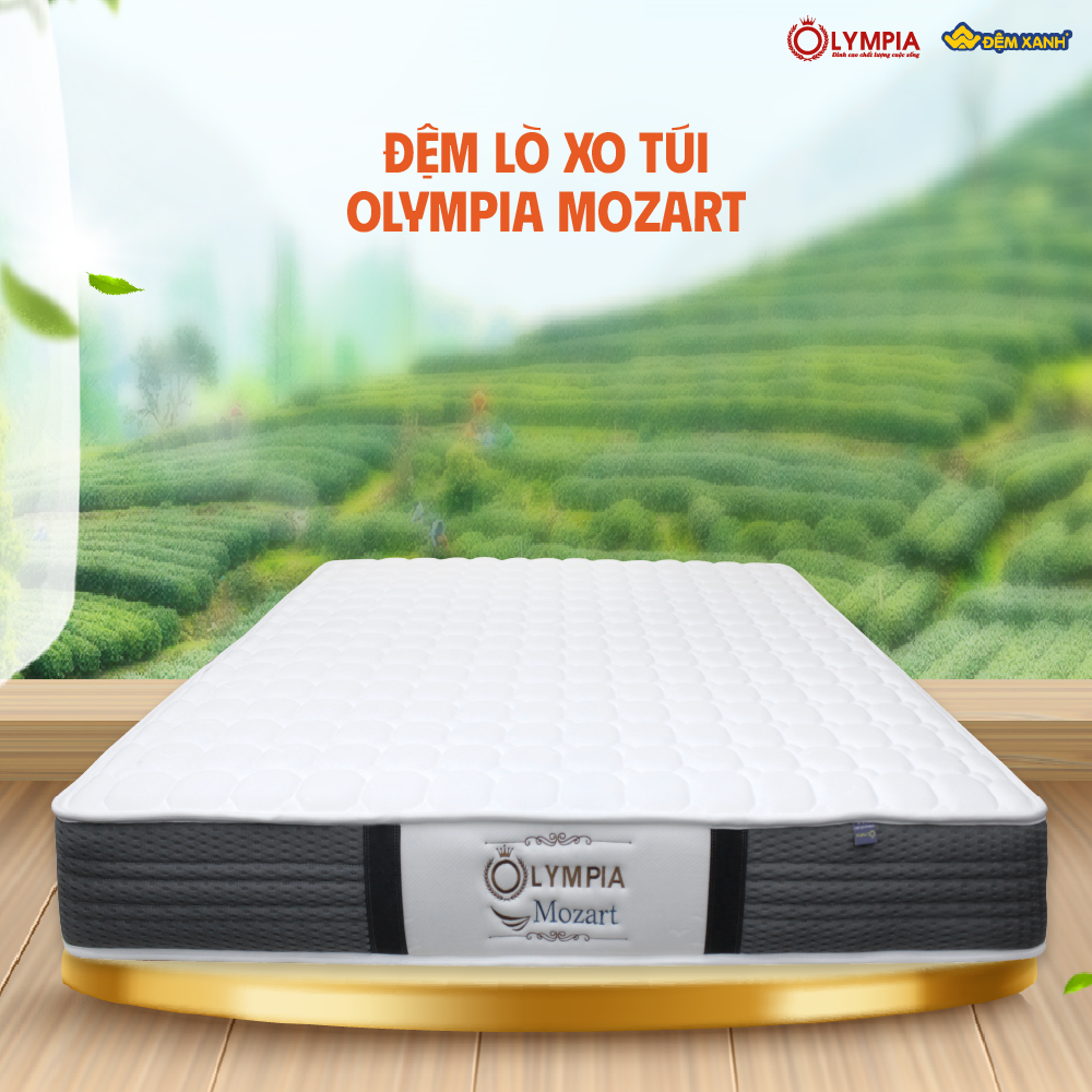 chọn đệm lò xo Olympia hay lò xo Tuấn Anh