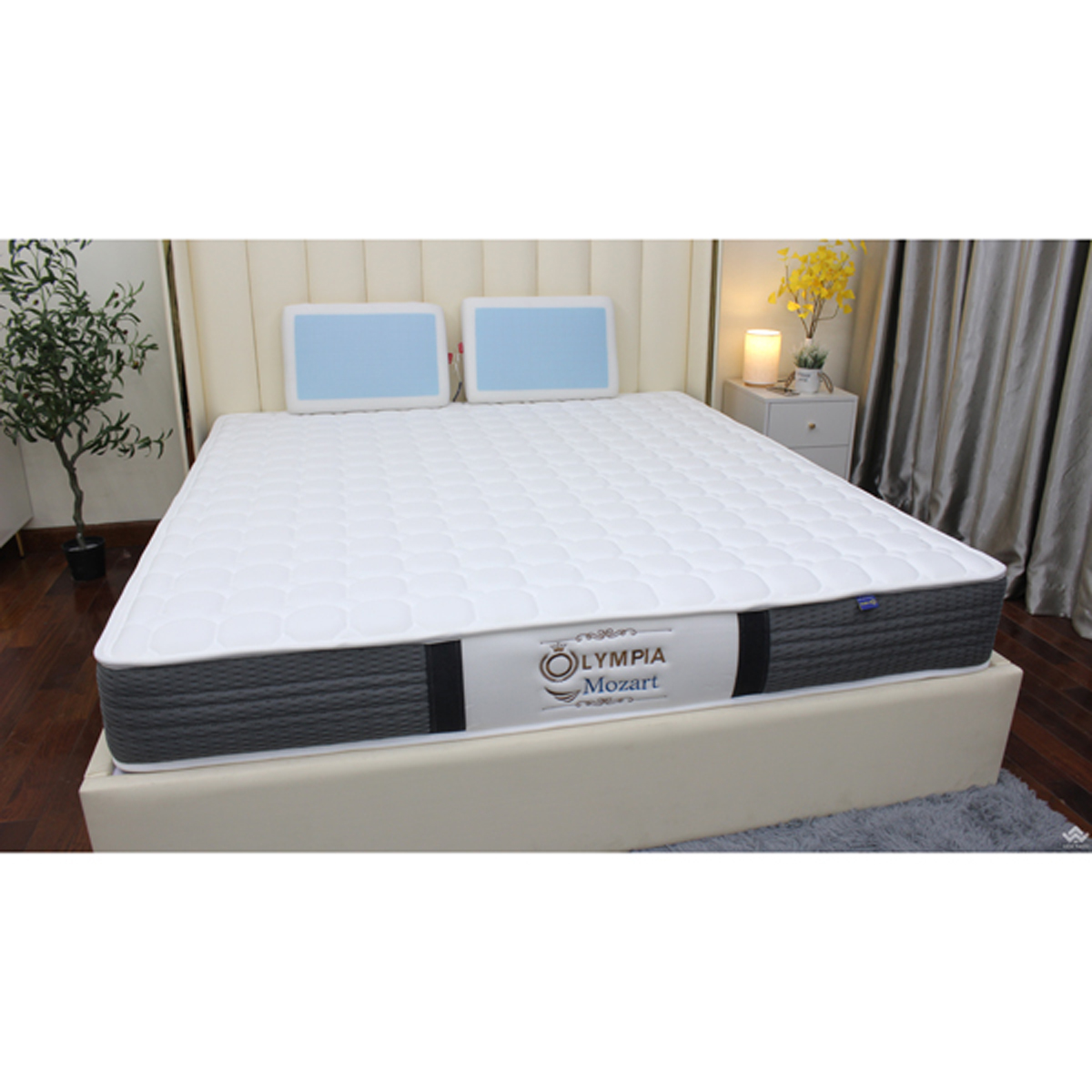 chọn đệm lò xo Olympia hay lò xo Vạn Thành