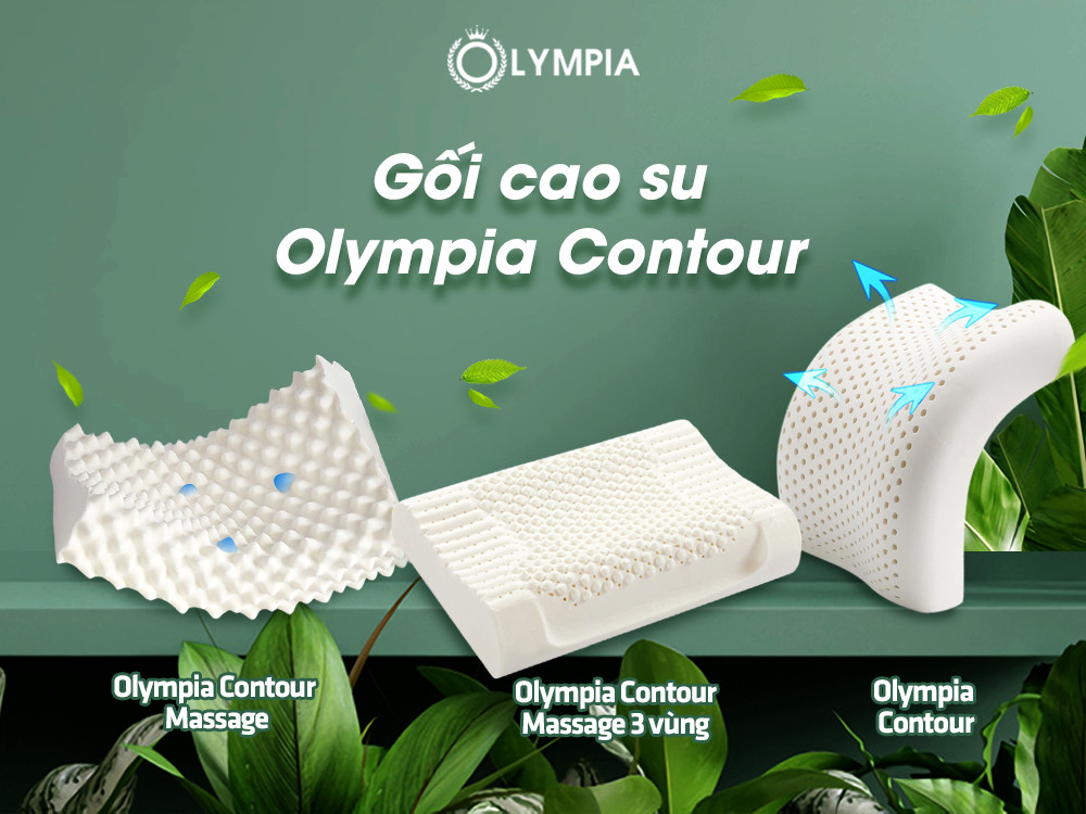 gối cao su Olympia