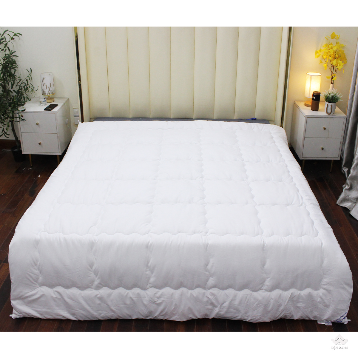 3763_ruot_chan_micro__1_