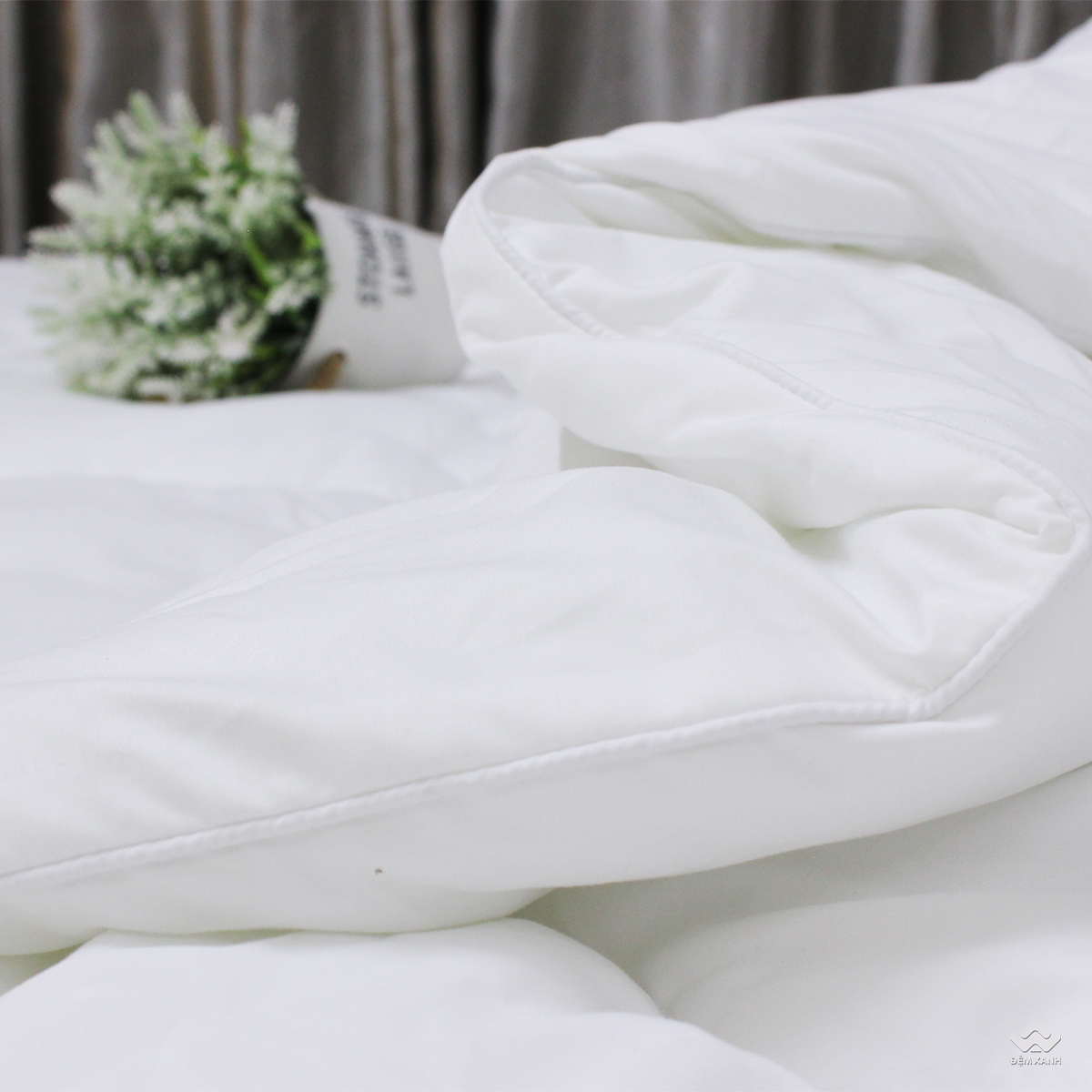 3763_ruot_chan_micro__3_