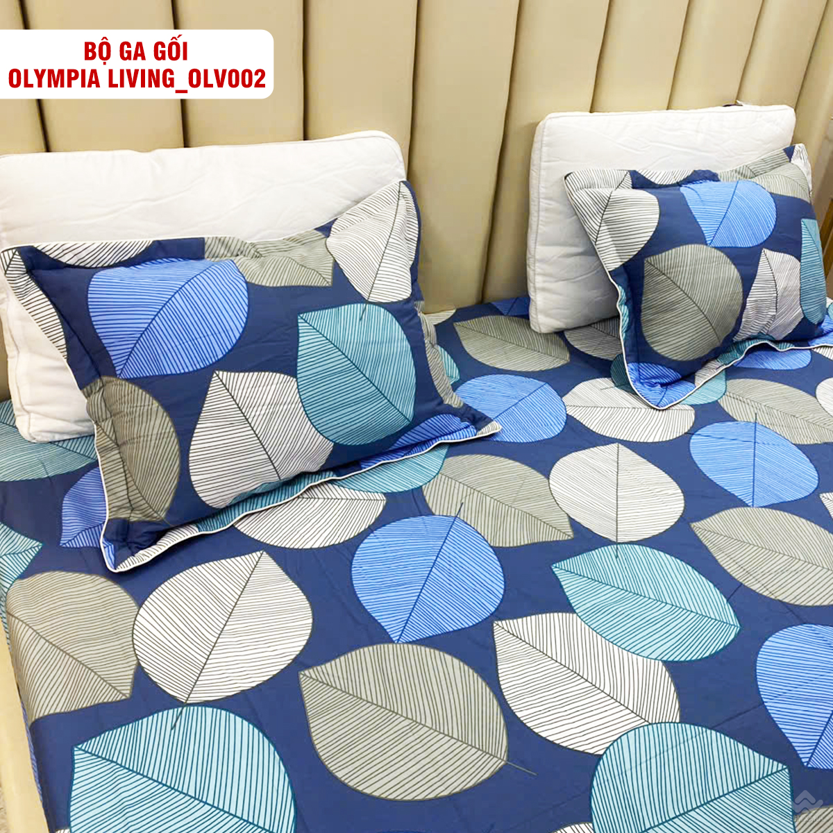 4120_ga_goi_chun_olympia_living_olv002__1_