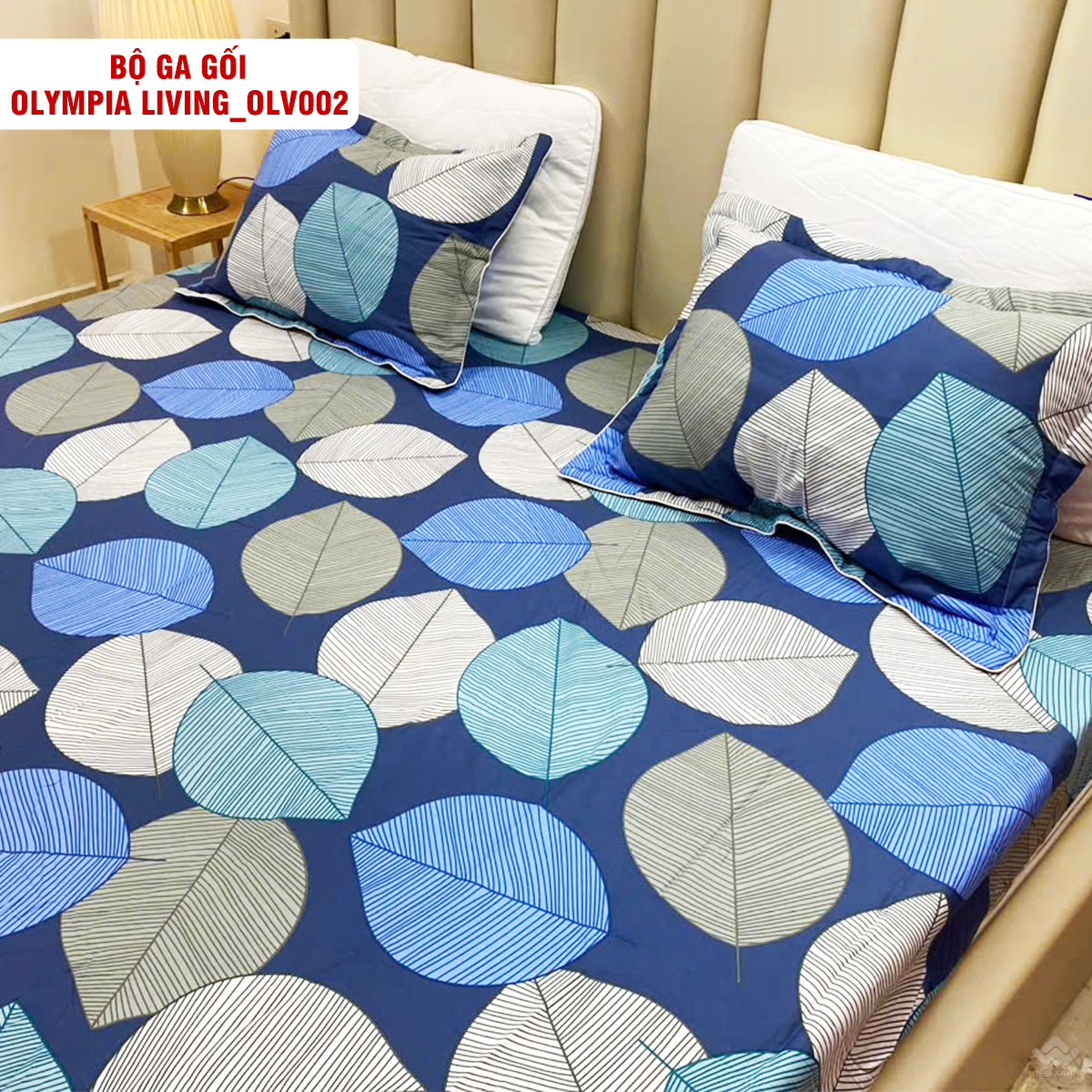 4120_ga_goi_chun_olympia_living_olv002__3_