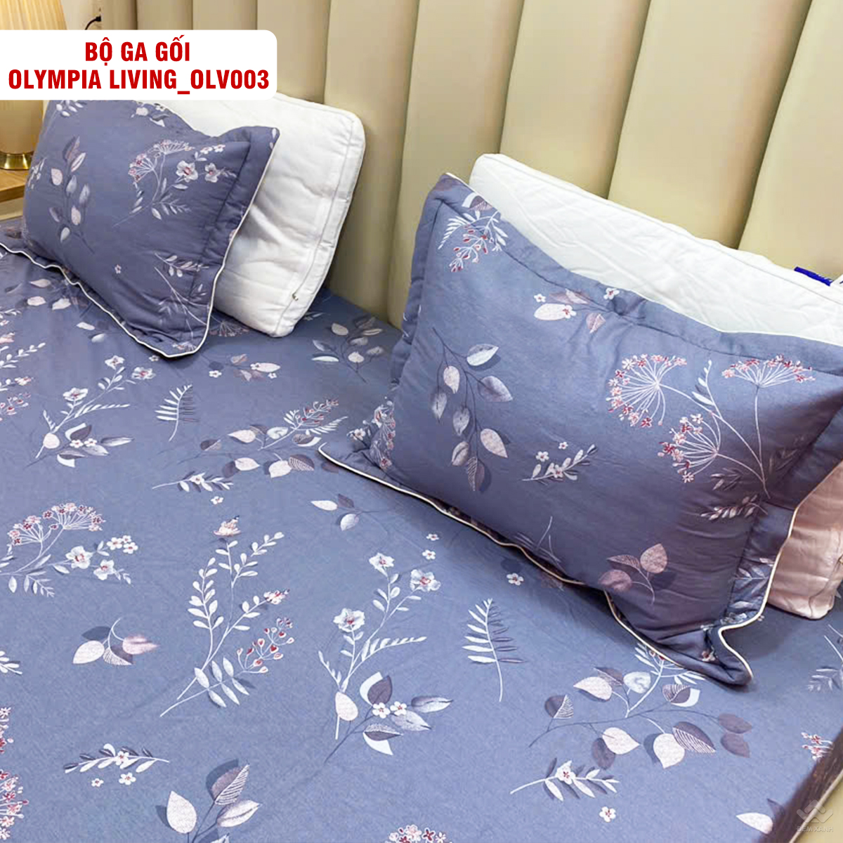 4121_ga_goi_chun_olympia_living_olv003__2_