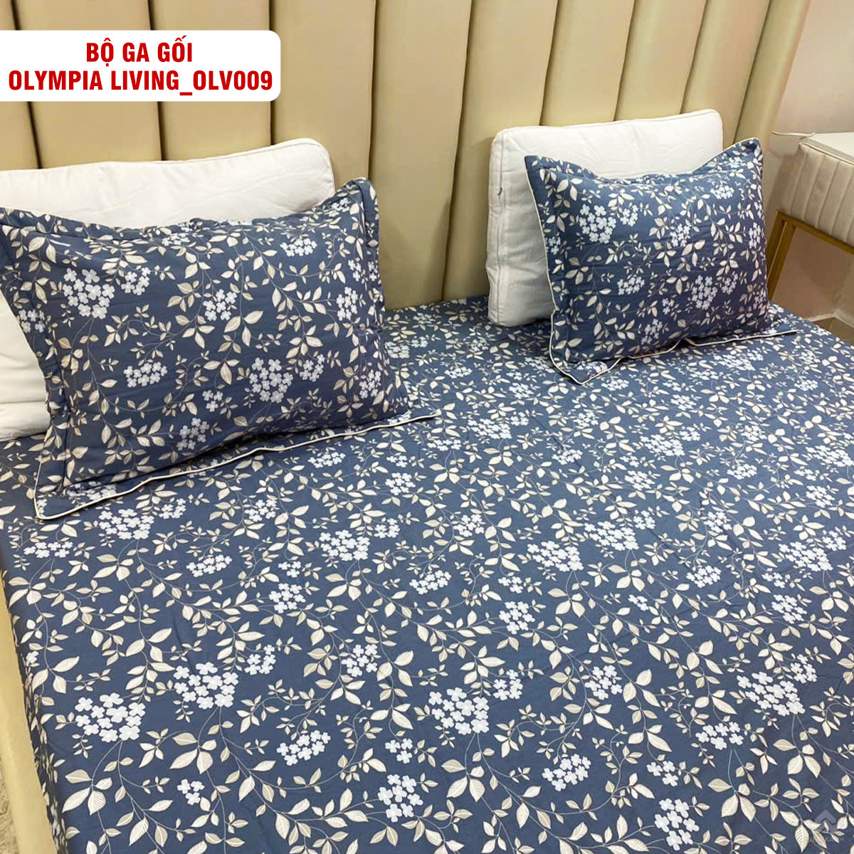 4127_ga_goi_chun_olympia_living_olv009__2_