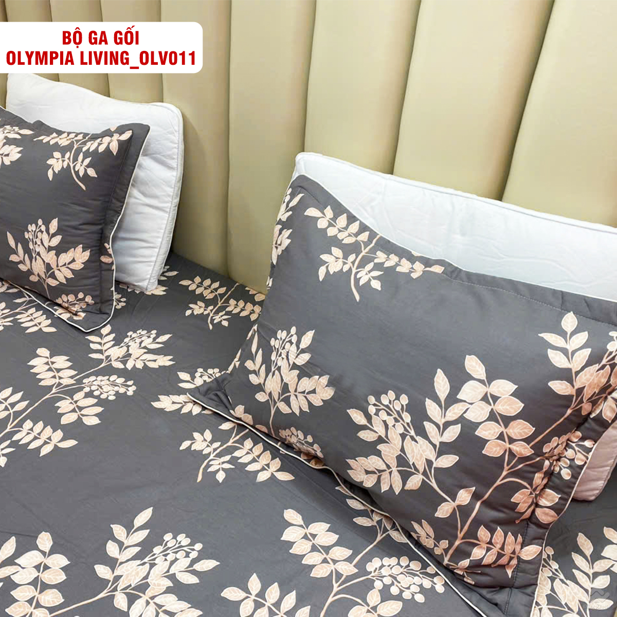 4129_ga_goi_chun_olympia_living_olv011__1_